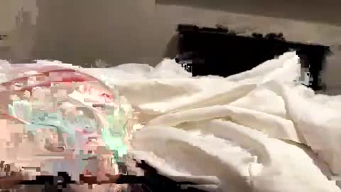 Snapshot of softslickandsweet chatting on February 2025 06:49:02 PM softslickandsweet online show from February 2025 06:49:02 PM