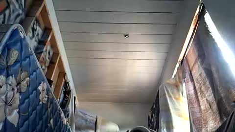 Snapshot of sohan730903 chatting on October 2025 07:20:02 PM sohan730903 online show from October 2025 07:20:02 PM