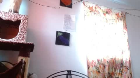 Sofia online show from January 2026 12:09:02 PM