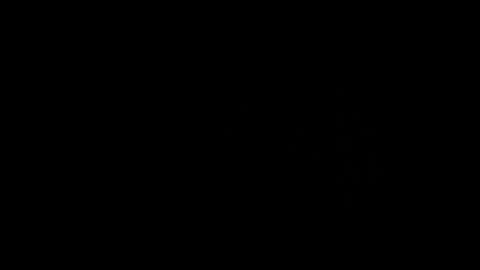 someonespeicial online show from September 2025 02:00:01 PM