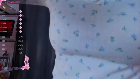 Sofia online show from November 2025 05:24:02 PM