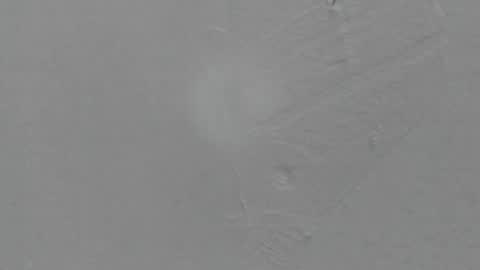 Snapshot of sophia_ebony___ chatting on February 2026 01:14:02 PM sophia_ebony___ online show from February 2026 01:14:02 PM