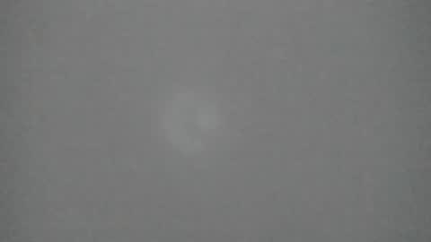 Snapshot of sophia_ebony___ chatting on February 2026 12:31:01 PM sophia_ebony___ online show from February 2026 12:31:01 PM