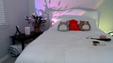 Snapshot of sophieeestar chatting on January 2025 12:55:02 AM Sophie Star online show from January 2025 12:55:02 AM