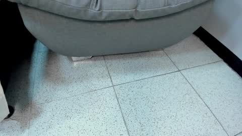 sophieharris__ online show from January 2025 11:36:02 PM