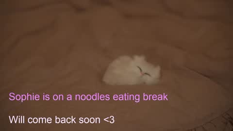 Sophie  Next stream  3 online show from February 2025 07:40:02 PM