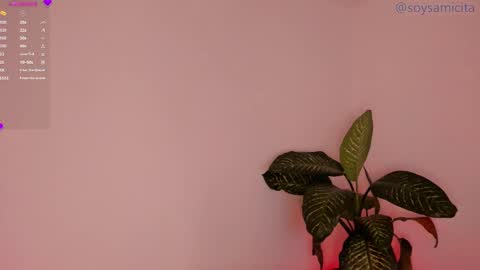 Snapshot of soysamicita_ chatting on December 2024 08:34:02 AM Sami Diaz online show from December 2024 08:34:02 AM