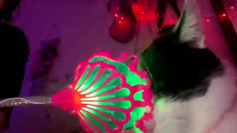 Snapshot of spacegirl42o chatting on November 2025 08:29:01 PM Spacegirl online show from November 2025 08:29:01 PM