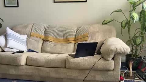 Snapshot of spaceman_fun chatting on March 2026 10:59:02 AM spaceman_fun online show from March 2026 10:59:02 AM