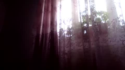 Snaiky online show from February 2025 11:23:01 AM