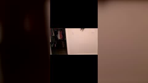 specialiest online show from March 2026 08:45:02 PM