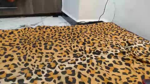 Snapshot of spice_queen chatting on September 2025 12:43:01 AM dela online show from September 2025 12:43:01 AM