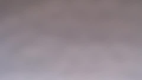 Doll online show from October 2025 10:23:02 AM