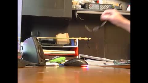 spoiler5 online show from December 2025 03:43:01 PM