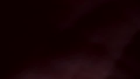 Anna online show from February 2025 12:37:02 PM