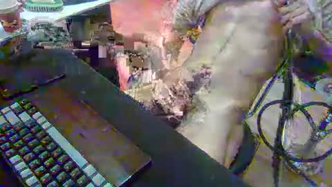 SPOKO online show from February 2026 01:31:01 PM