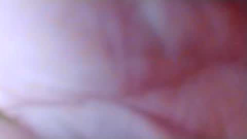 SpunSlut online show from November 2025 10:58:02 AM