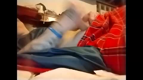 Snapshot of spundaddyandprincess chatting on December 2024 03:15:01 AM spundaddyandprincess online show from December 2024 03:15:01 AM