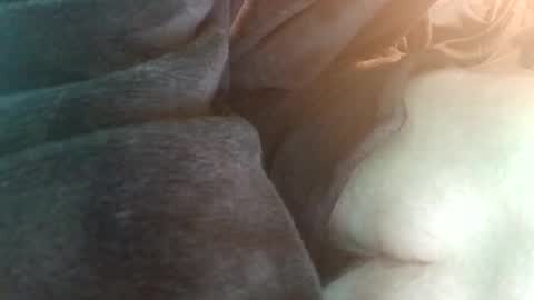 Snapshot of spunfuncumming chatting on July 2026 06:55:02 PM spunfuncumming online show from July 2026 06:55:02 PM