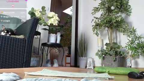 Monica online show from January 2025 07:20:01 AM