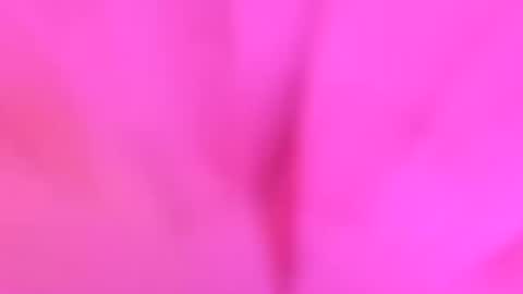 YourdirtysecretxMae online show from July 2026 03:58:02 AM