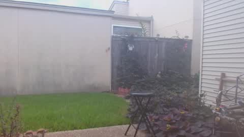 srtxshow online show from September 2025 07:06:02 PM