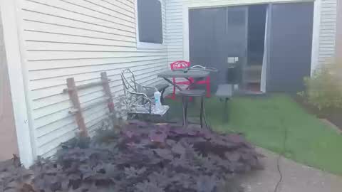 srtxshow online show from October 2025 12:49:02 PM