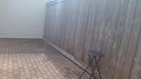 srtxshow online show from April 2026 03:41:02 PM