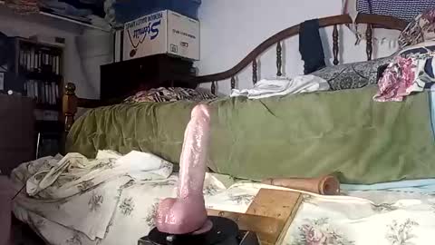 Snapshot of st0ned_d chatting on November 2025 06:56:02 AM Dick online show from November 2025 06:56:02 AM