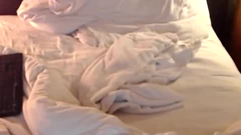 Snapshot of st8llion chatting on January 2025 02:41:01 AM st8llion online show from January 2025 02:41:01 AM