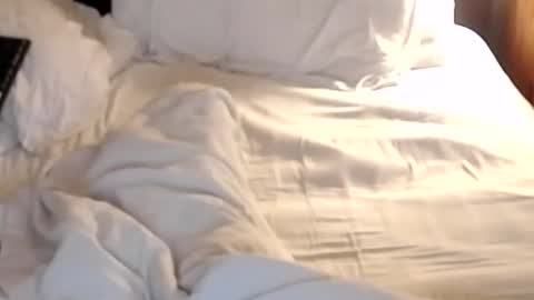 Snapshot of st8llion chatting on January 2025 07:19:02 AM st8llion online show from January 2025 07:19:02 AM