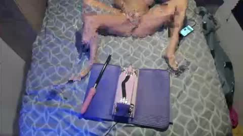 staciwilde online show from April 2026 03:26:01 AM