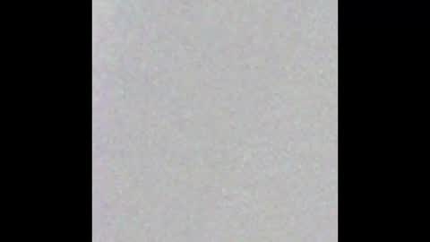 Stacy online show from March 2025 12:04:02 PM