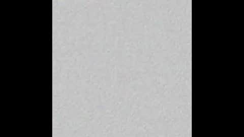 Stacy online show from November 2025 11:54:01 AM