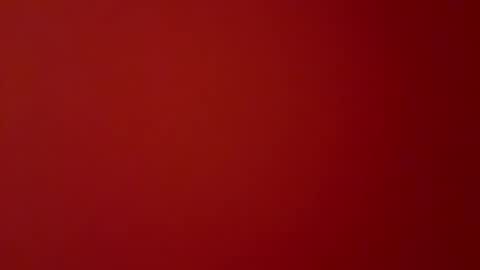 stadedefrance online show from December 2024 02:17:02 PM