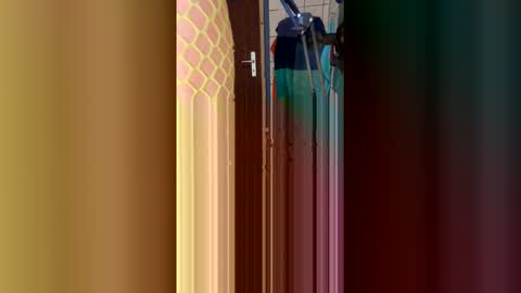 stambo0704987834 online show from January 2026 01:16:02 PM