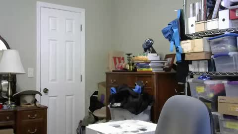 stasw20 online show from September 2025 05:36:02 PM