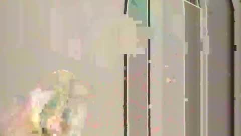 steedmont online show from November 2025 11:31:01 PM