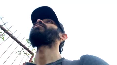 Lobo del Antiguo Oriente online show from March 2026 10:14:02 PM