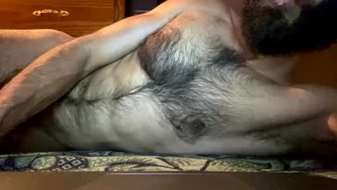 Lobo del Antiguo Oriente online show from April 2026 01:25:01 AM