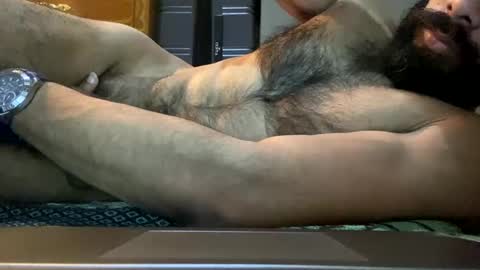 Lobo del Antiguo Oriente online show from April 2026 02:56:01 AM