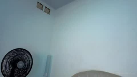 Steicy online show from April 2026 03:39:01 PM