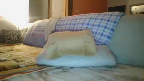 steki038434 online show from January 2025 02:03:02 AM