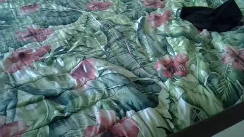 Snapshot of stel7621 chatting on January 2025 03:39:02 PM Rocco-load online show from January 2025 03:39:02 PM