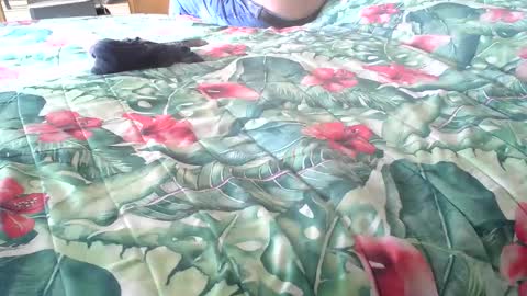 Snapshot of stel7621 chatting on October 2025 01:56:02 PM Rocco-load online show from October 2025 01:56:02 PM