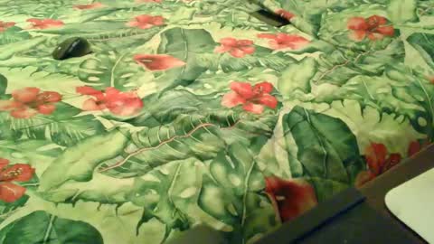 Snapshot of stel7621 chatting on December 2025 06:58:01 PM Rocco-load online show from December 2025 06:58:01 PM