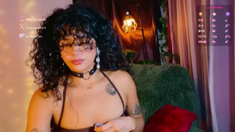 Snapshot of stellart_ chatting on June 2026 02:03:01 AM stellart_ online show from June 2026 02:03:01 AM