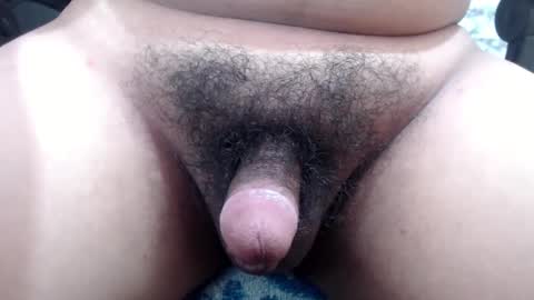 Snapshot of stellaven chatting on December 2024 06:53:01 AM Stellaven online show from December 2024 06:53:01 AM