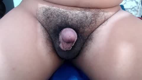 Snapshot of stellaven chatting on February 2025 06:56:01 AM Stellaven online show from February 2025 06:56:01 AM