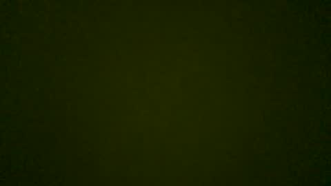 Snapshot of stensurfarn chatting on May 2026 08:10:01 AM stensurfarn online show from May 2026 08:10:01 AM